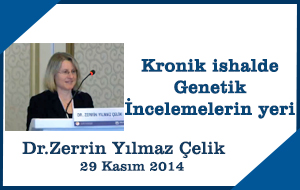 7-zerrinyilmazcelik